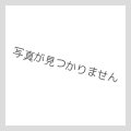 ☆アジア☆XHEROワンダードライバー【シークレット】{アジアQCCU-JP184}《リンク》
