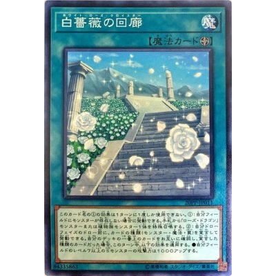 白薔薇の回廊【ノーマル】{20PP-JP011}《魔法》