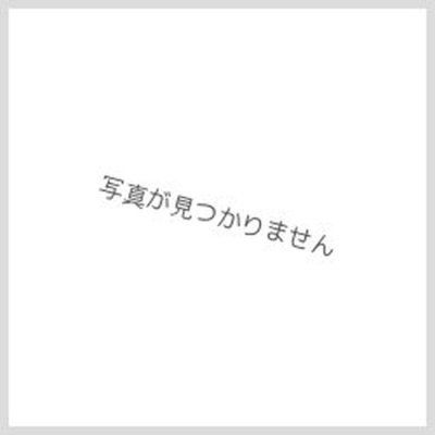 〔状態A-〕スリーブ『ギャラクティカオブリビオン』70枚入り【-】{-}《スリーブ》