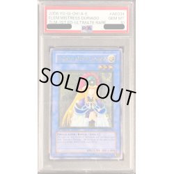 画像1: 〔※状態難/PSA10鑑定済〕☆旧アジア☆精霊術師ドリアード【レリーフ】{TLM-AE034}《コレクター向け》