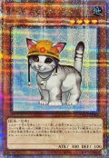 レスキューキャット(左向)【クォーターセンチュリーシークレット】{QCAC-JP006}《モンスター》