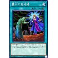 墓穴の指名者【ノーマル】{SD47-JP026}《魔法》