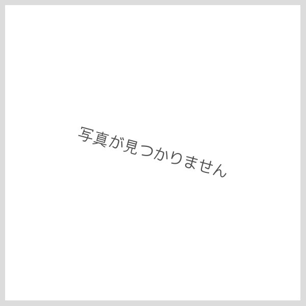 画像1: ☆アジア☆白き森のアステーリャ【シークレット】{アジアINFO-JP013}《モンスター》 (1)