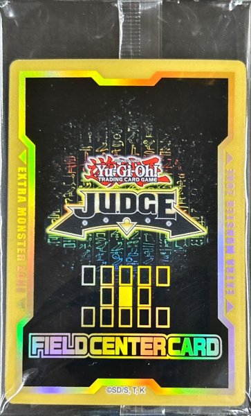 画像1: (未開封)JUDGE2022【-】{-}《フィールドセンターカード》 (1)